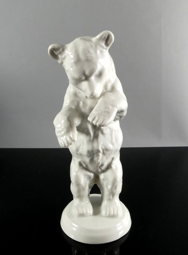 Orso polare piedi - polare,
