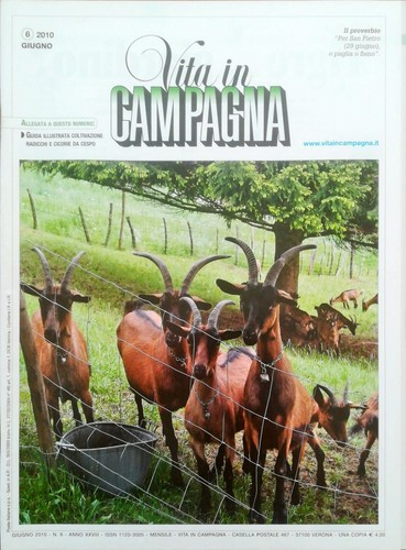 Vita campagna giugno - campagna,