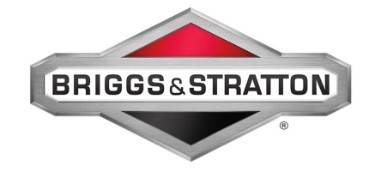 Carburatore originale briggs - carburatore,