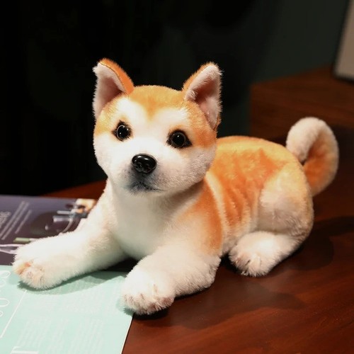 Peluche akita cane posa - cane,