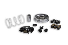5111258 variatore malossi - variatore,