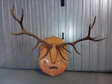 Palchi di cervo già montati allo scudetto