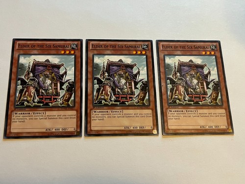 Anziano dei sei samurai - anziano,