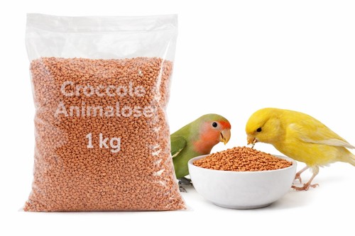 Semi camelina sativa 1kg - di,