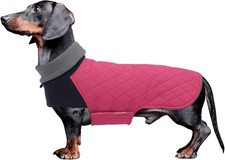 Cappotto Bassotto, Giacca Invernale per Bassotto, Caldo Pullover per Cani,Imperm