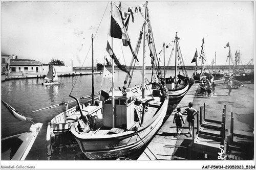 Aafp5 0395 sete i - aafp5-34-0395,