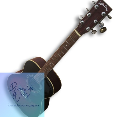 Chitarra elettroacustica