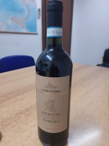 Vino - vino, (barbera