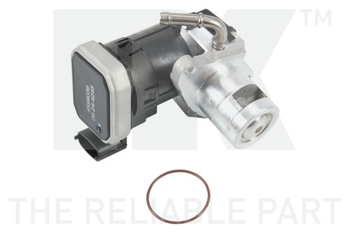 Valvola egr 4599036 per - 4599036,