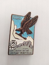 DISTINTIVO ALPINI BRIGATA JULIA GRUPPO OSOPPO