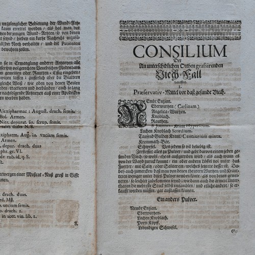 Ricetta epizoozia storica