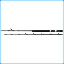 CANNA TRAINA SHIMANO