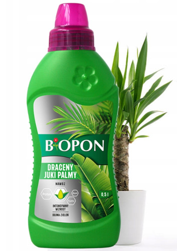 Concime piante verdi tropicali - piante,