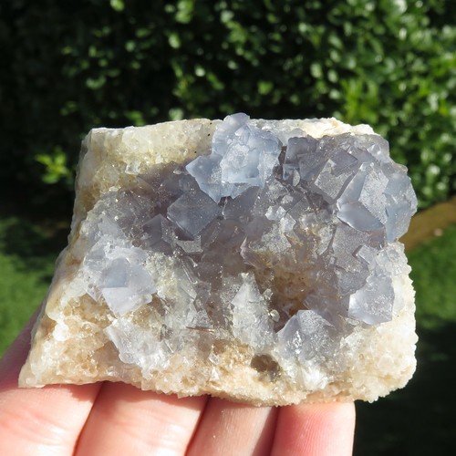 Minerali fluorite azzurra - minerali, ***