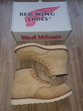 Setter irlandese Red Wing 8173