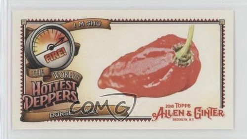 2018 topps allen - topps, &
