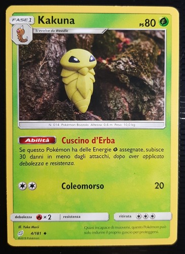 Kakuna 181 in italiano - kakuna,