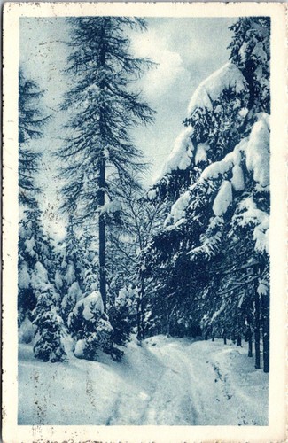 Cartolina epoca paesaggio - d'epoca,