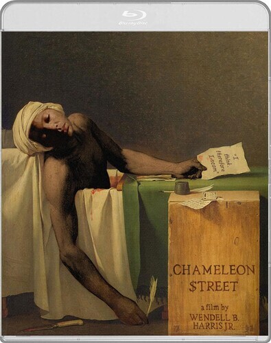 Chameleon street new - chameleon,