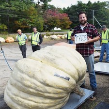15 SEMI ZUCCA GIGANTE +