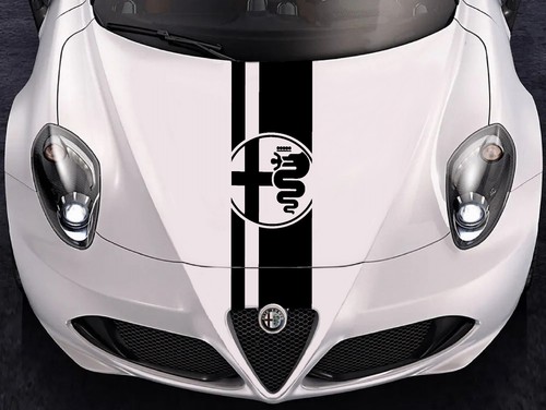 Adesivi fascia cofano - adesivi, auto
