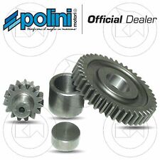 POLINI RAPPORTI ALLUNGATI