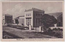 BUDRIO - BOLOGNA - MAGAZZINI CONSORZIO PROVINCIALE FIBRE TESSILI -29287-