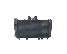 Radiatore Acqua TRIUMPH SPEED