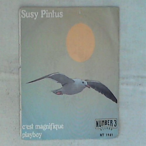 Susy pintus est - pintus, c'est