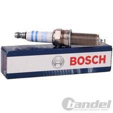 CANDELA BOSCH adatta per
