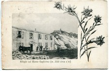 1920 Rifugio Monte Guglielmo GULLER Marone DEST.Lucca cavalli FP B/N VG ANIM.