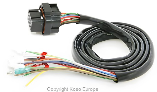 Cablaggio koso rx2n - cablaggio,
