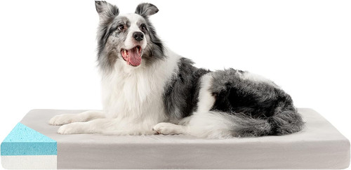 Cuccia cane ortopedico - cane,