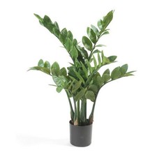 Pianta Finta Zamioculcas