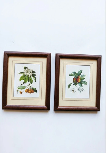 Due quadri con - stampe, di
