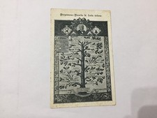 postcard family tree 1906