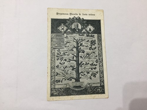 Cartolina albero genealogico - albero,