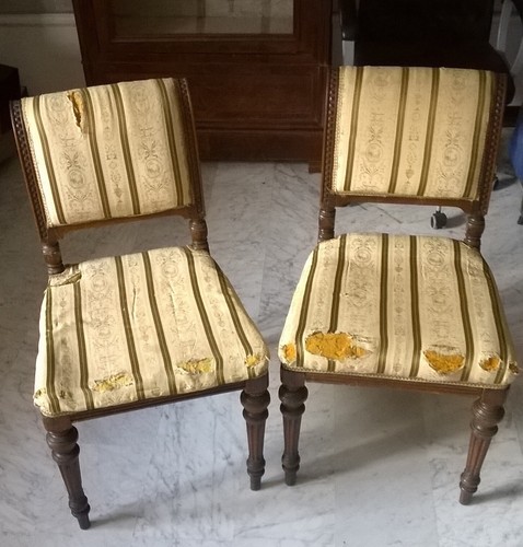 Coppia sedie poltroncine