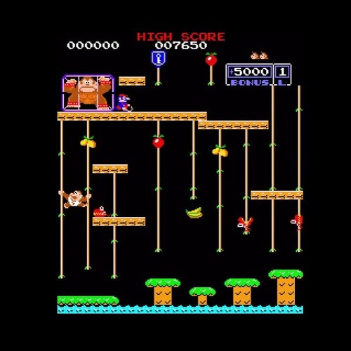 Usato asino kong con jamma - con,
