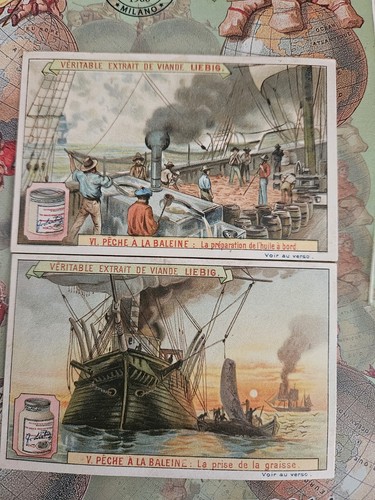 Liebig 545 anno 1898 - anno, caccia