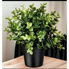 IKEA FEJKA Pianta Artificiale