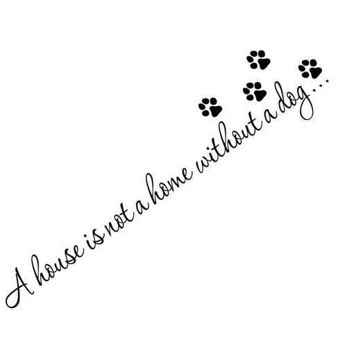Regalo per gli amanti degli - ,