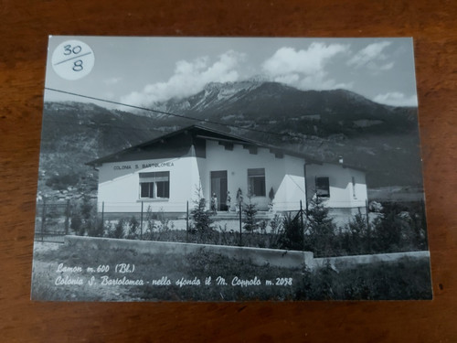 Lamon colonia foto - ,
