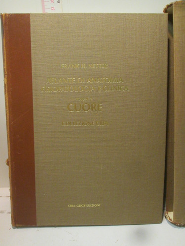 Cuore atlante anatomia - cuore,
