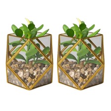 2 CONFEZIONI Casetta Opale 5"x 4" Cactus Artificiale Finto Succulento in Ottone Oro Terrario