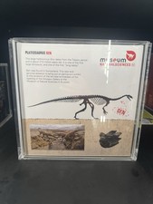 Lego Exclusive Jurassic World