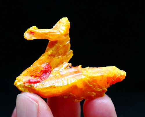 Raro esemplare hunan - 26,