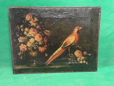 quadro dipinto ad olio di pappagallo e natura morta antico 700 piemontese