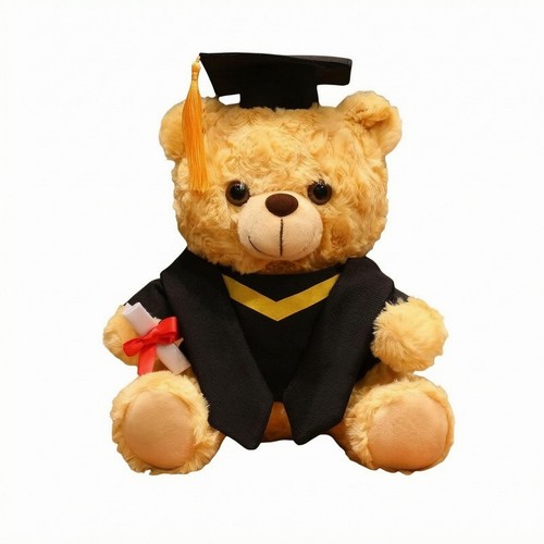 Orsacchiotto laurea carino - laurea,