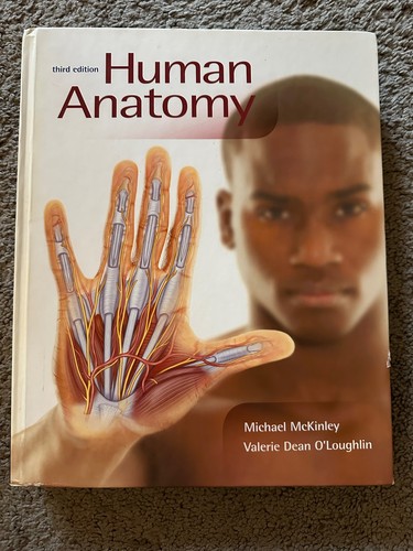 Human anatomy valerie - human,